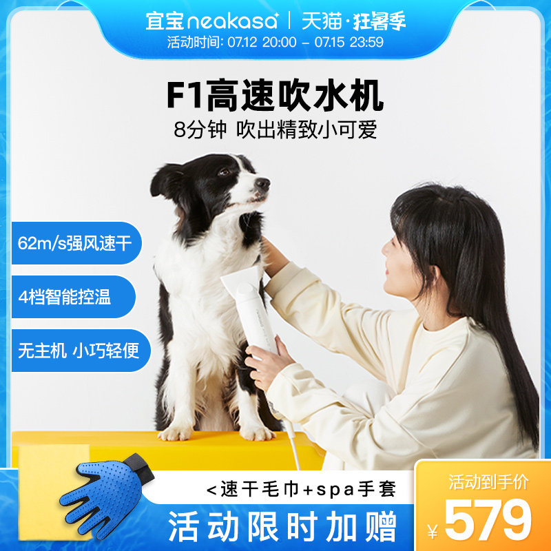 宜宝宠物高速吹水机狗狗吹风机大功率静音大型犬猫咪烘干吹毛