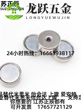 BLS67-A8/AL10/A12/A15/A2-T2/T3/4/T5/T6 BS608T 螺栓固定型磁铁