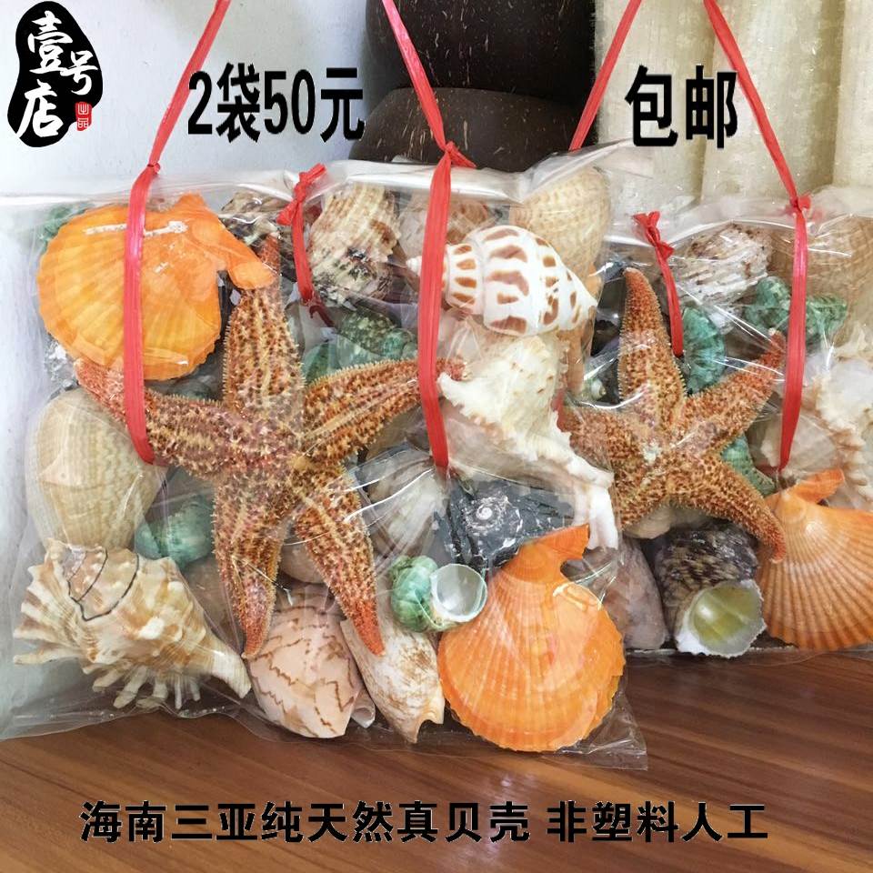 新款包邮 海南高档天然海螺海星贝壳套装6I00G约25个鱼缸装饰旅游