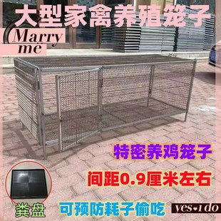 加密鸡笼家用兔笼养殖p笼鸭笼鸽笼笼子家禽宠物防鼠大号黄鼠狼加