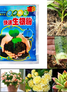 Bonsai Plant rapid growth root medicinal hormone regulators