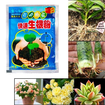Bonsai Plant rapid growth root medicinal hormone regulators