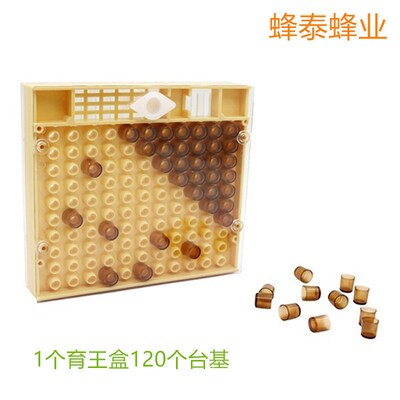 育王盒 棕色育王台   1个育王盒 120盒棕色王台基