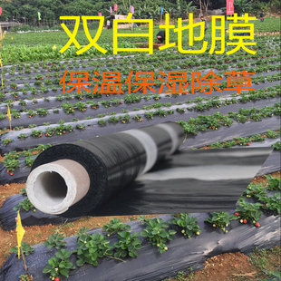 農(nóng)用雙白單白黑白相間地膜薄膜種植育苗除草防蟲保溫保濕 加厚農(nóng)膜