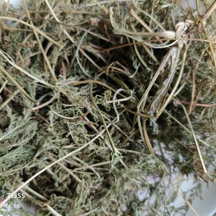 新货干燥西洋蓍草欧蓍草干叶干品枝叶 泡油纯露提取原料香草干品