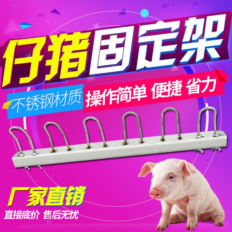 热销小猪用挂猪器喂药灌药滴鼻剪牙注射用仔猪固定架便携式挂猪架