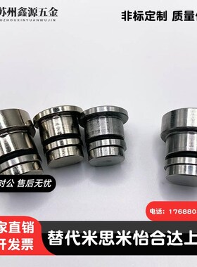 直线导轨定位销偏心销 LLT5 LLTS5 ICE11-T5不锈钢ICE12/11