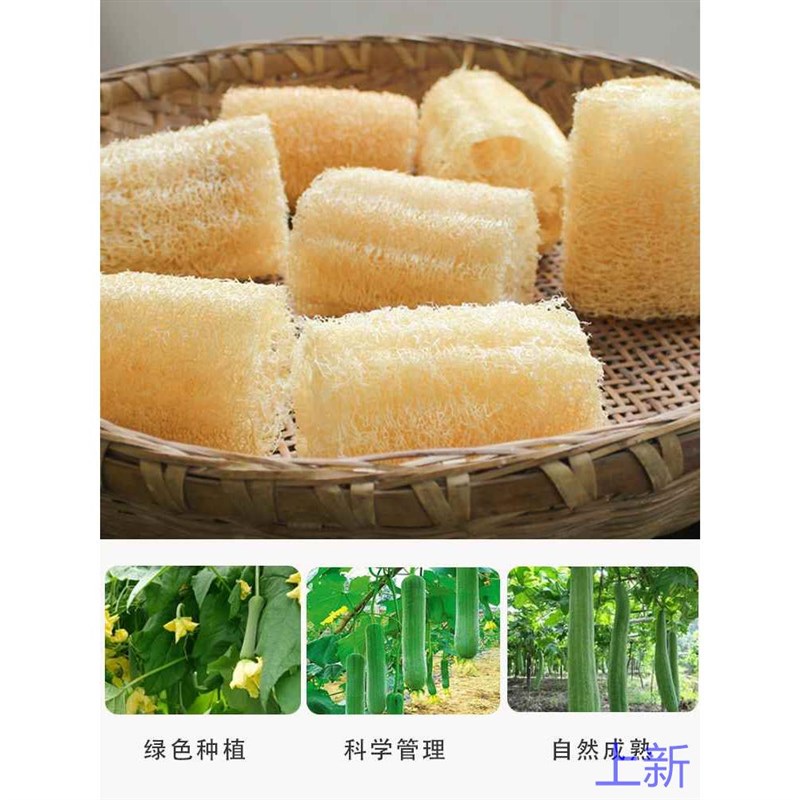 丝瓜络洗碗抹布家用清洁丝瓜洗布抹络布搓澡百洁布厨房用具不新款