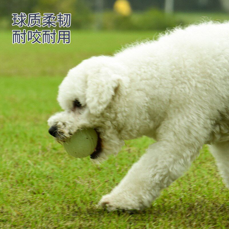 狗狗玩具球弹力耐咬磨牙训犬球夜光发光互动解闷浮水橡胶宠物新品