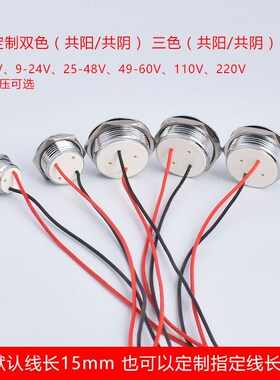 球面带线16/19/22mm金属电源信号指示灯220vled灯12v24v定制电源