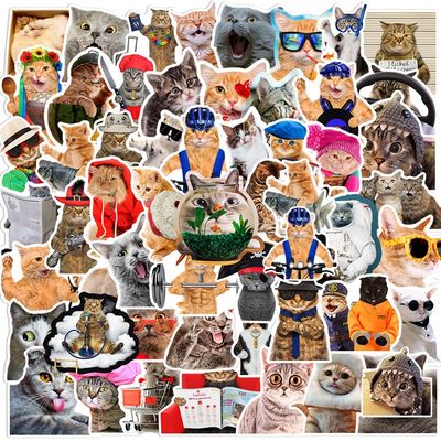 极速66pcs Cute Funny MEME Cat Stickers Kawaii Cartoon Animal