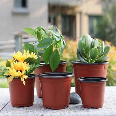 推荐Flower pots plastic two-tone planting seedling花盆塑料