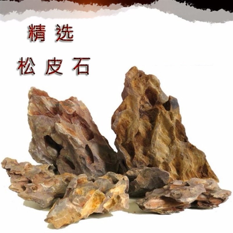 天然松皮石鱼缸装饰石草缸假山造景石G造鱼缸景石小假山石水草新