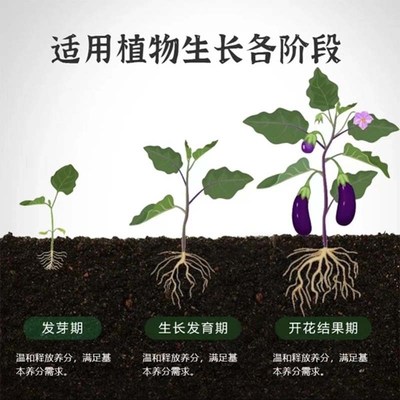 【枝繁叶绿 花开满盆】枯黄、不开花、掉叶、烂根,赶紧用它!H39