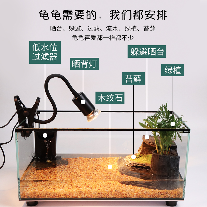 玻璃乌龟缸家用客厅o小别墅饲养箱小型养乌龟专用缸生态鱼缸屋造