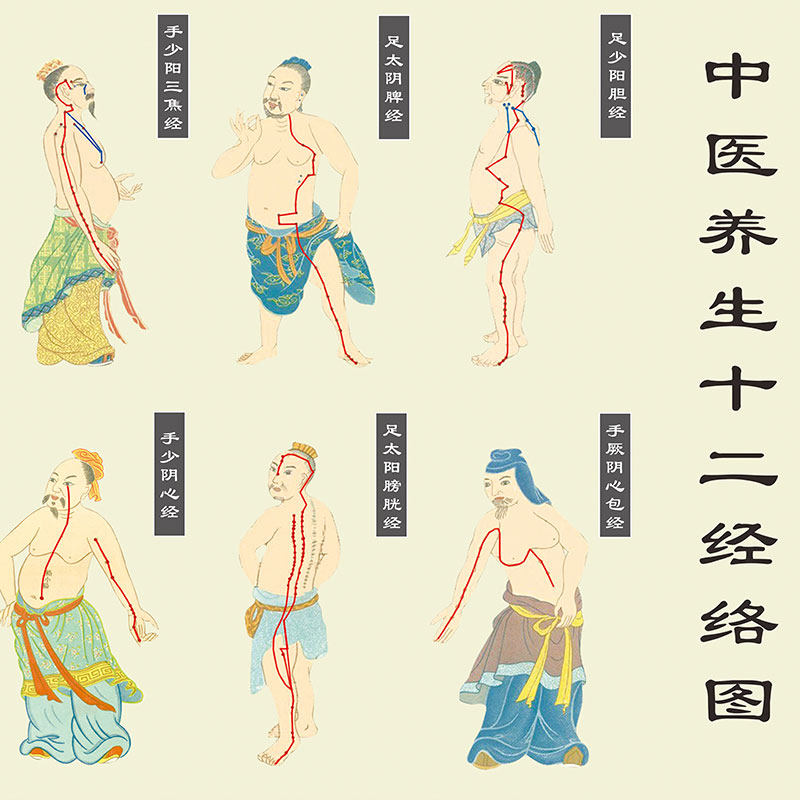 现货速发人体十二经络走向图丝绸画中医诊所装饰画挂画养生文化馆
