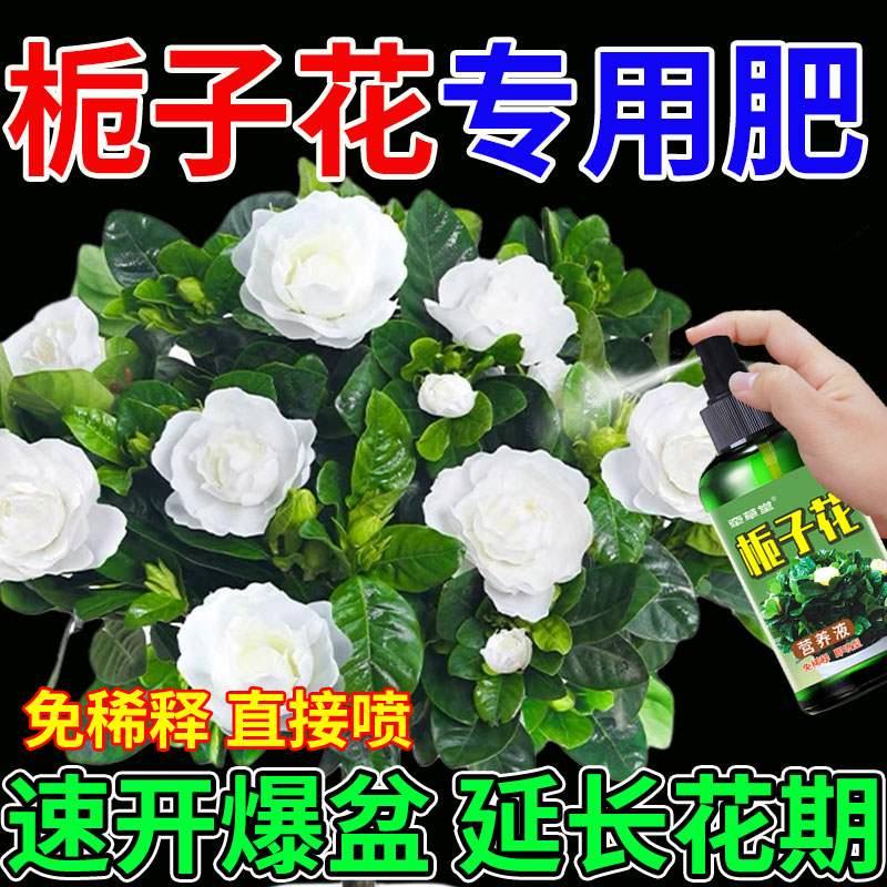 推荐栀子花专用营养液家用磷酸二氢钾通用型复合肥免稀释促开花有