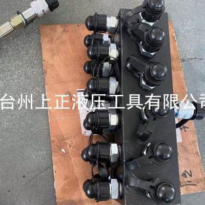 直销博鑫电动液压帮浦 二十通分流阀 1进20出分配器 控制流速 一