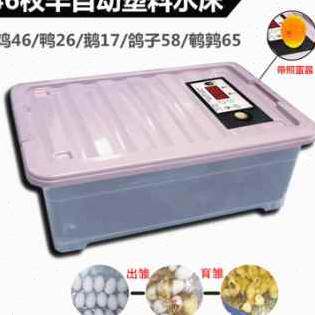 厂销智能水床孵化机家用型鸡鸭鹅孵化器55F枚小型90枚卵蛋箱全自