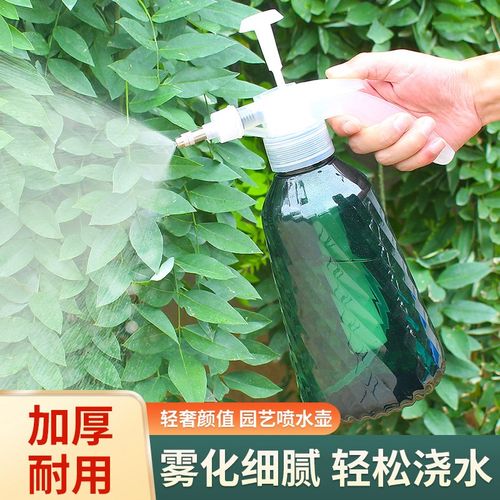 浇花喷壶手动气压式园艺绿植浇水壶家用清洁酒精消毒喷水壶洒水壶