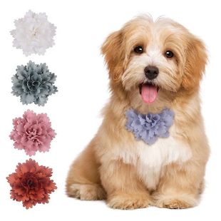 Cat Flow Removable Collar Dog Slidable Charms 极速Pet