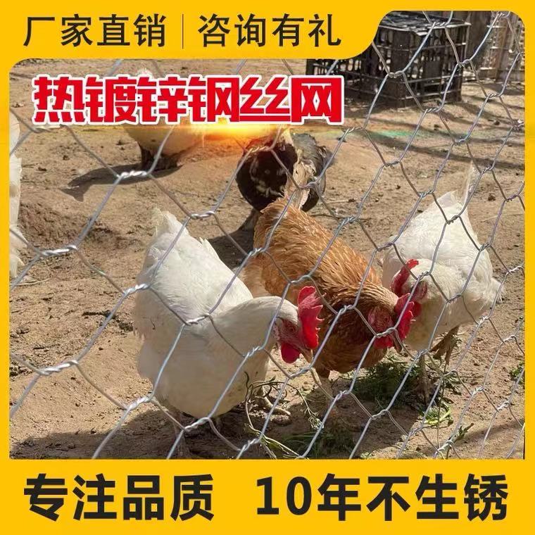 锌铁丝围栏网养养养鸭防鼠防蛇鸡猪养N防小孔拧花网牛护网