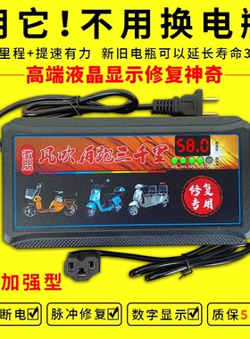自动断电 电动车电瓶充电器48V60V72V20AH超威爱玛通用电瓶修复器