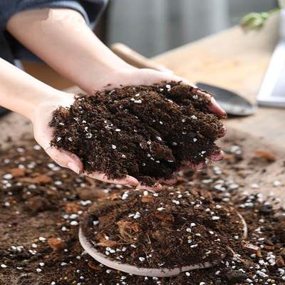 营养土通用型40斤养花绿植种植家用土园艺土壤有机种菜专用土肥料