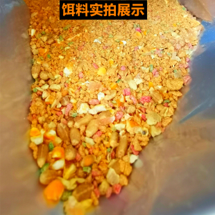 味爆炸饵料腥香味酒香小野钓远投抛竿鱼鱼鲤鱼青S鱼草鱼鳊鲫通杀