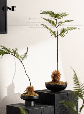 Rzone 新中式仿真文竹植物微景观造景花书房茶艺室案头装饰品摆件