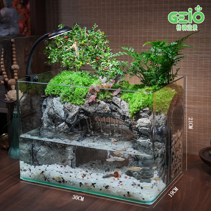 【花果山】生态造景鱼缸微景观绿植物桌面过滤一体循环客厅水陆