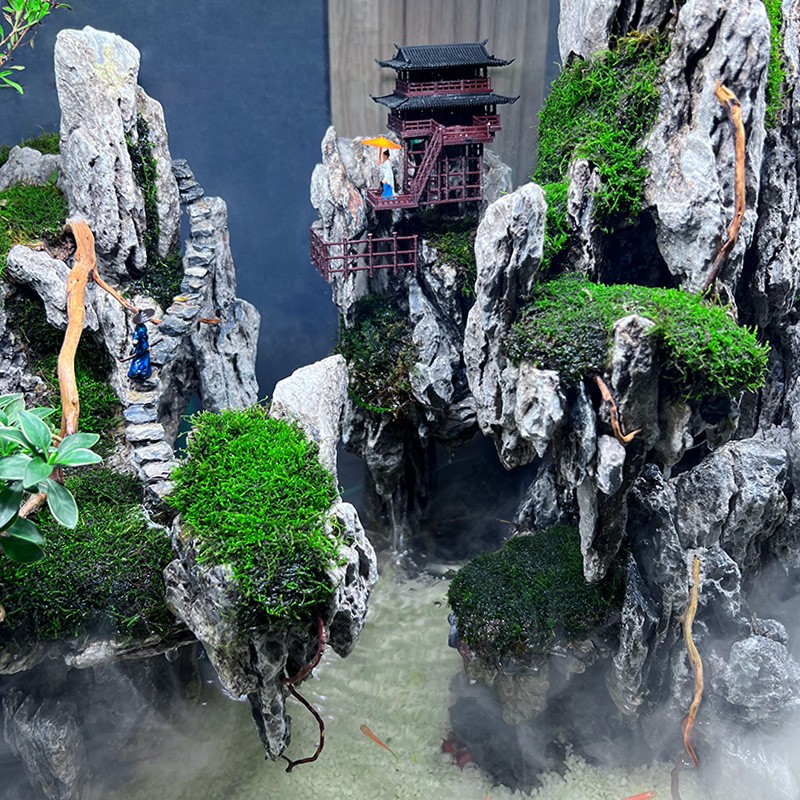 水陆缸造景套餐材料超白玻璃w生态鱼缸生态雨林缸植物造景微景观