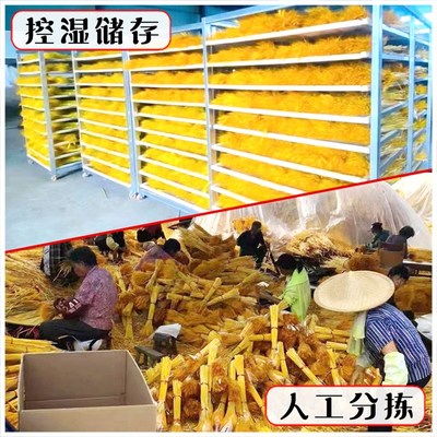 黄金大麦穗开业大麦干花束v装饰摆件花店天然插花拍摄道具工厂直