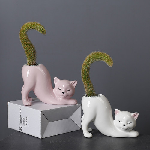 新品卡通可爱猫尾巴柱多肉花盆陶瓷室内阳台植物猴V尾巴仙人掌花