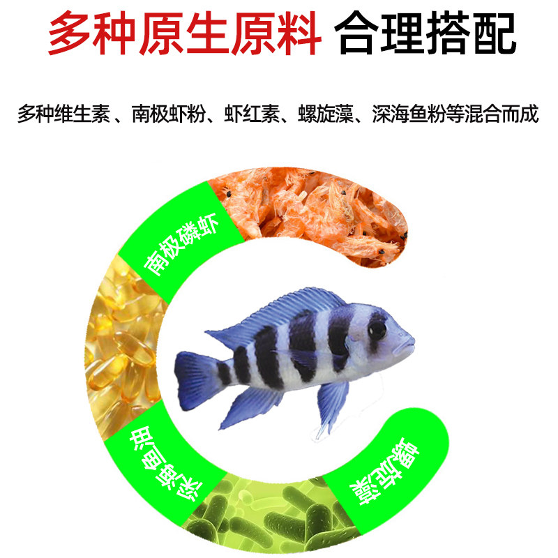 三湖慈鲷鱼饲料坦湖鱼坦鲷增马型六间鱼颗粒下沉鱼粮鱼色小鲷鱼食