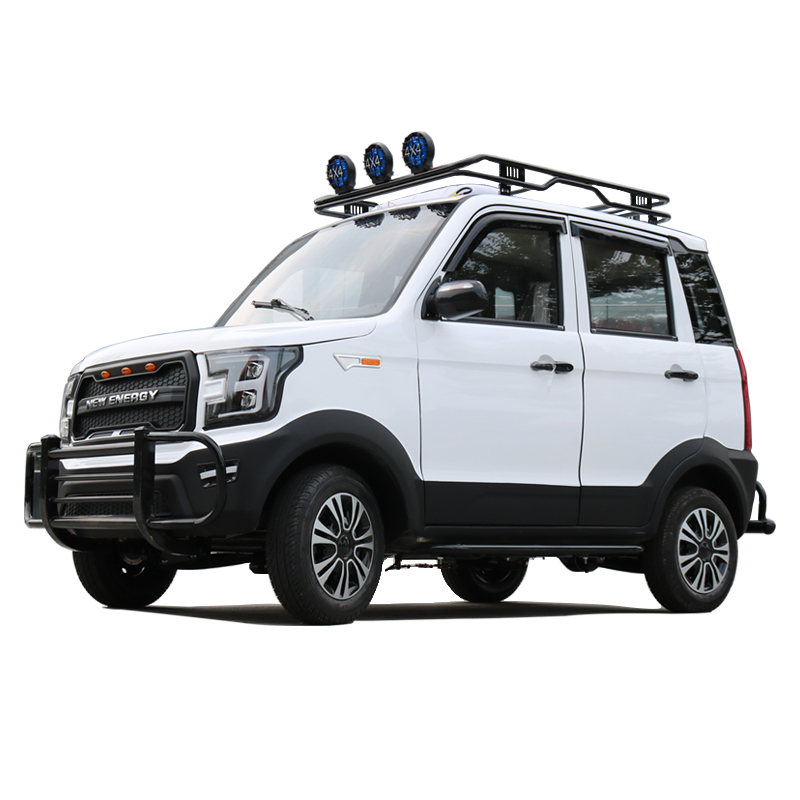 新能源电动四轮代步电瓶车家用成人油电两用全封闭铁壳轿车越野车