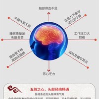 弘琦艾耳灸仪艾灸盒罐耳鸣灸耳朵随身灸家用仪器具野生艾柱便捷式