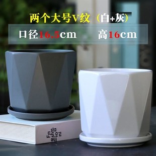 玫瑰花专用花盆北欧现代简约种草莓的花盆陶瓷客厅朱顶红用带托盘