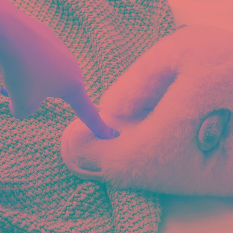 撸猫感毛绒棉拖鞋女冬季居家室内保暖情侣L家用防滑可爱猫咪拖鞋