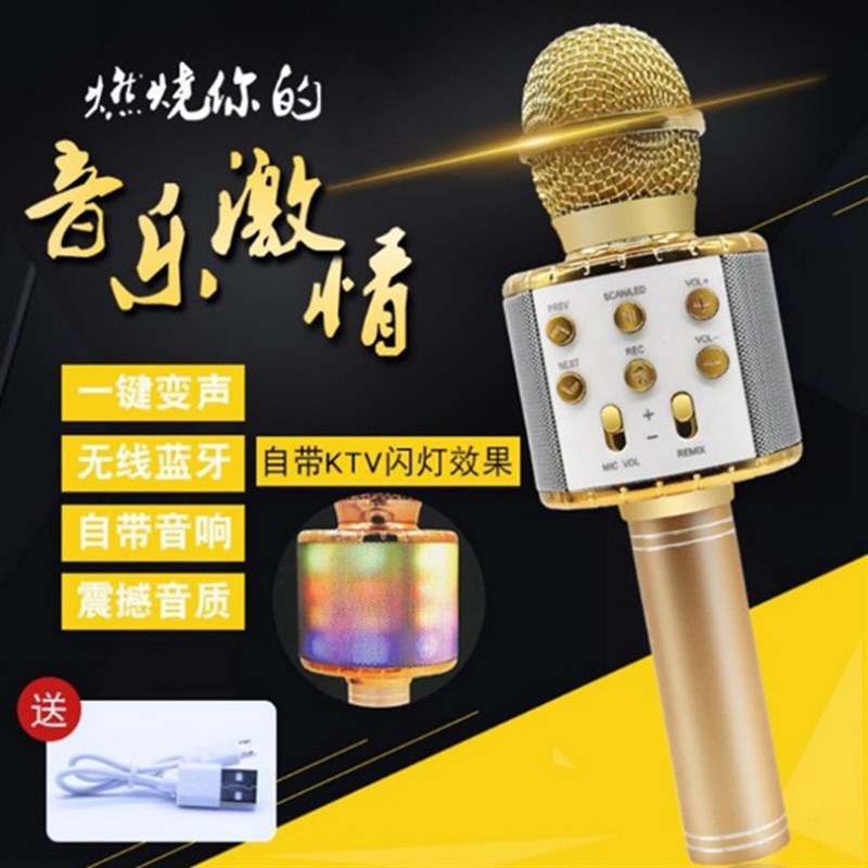 新款高配LdED灯WS858L家庭KTV音响话筒户外活动蓝牙音箱无线麦克