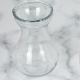 培绿植物客厅摆件小绿萝风信子透明玻璃花瓶花盆插花 现货直发