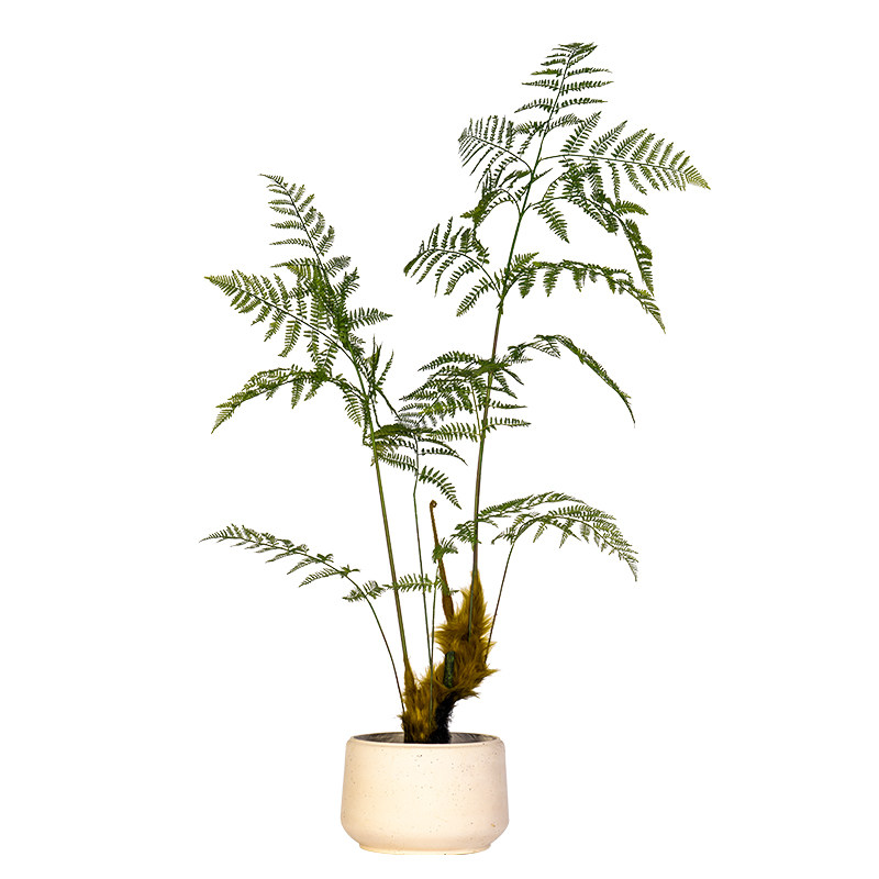 仿真树蕨类植物金丝猴阙高端轻奢仿生绿植室内猴头蕨假树盆栽摆件