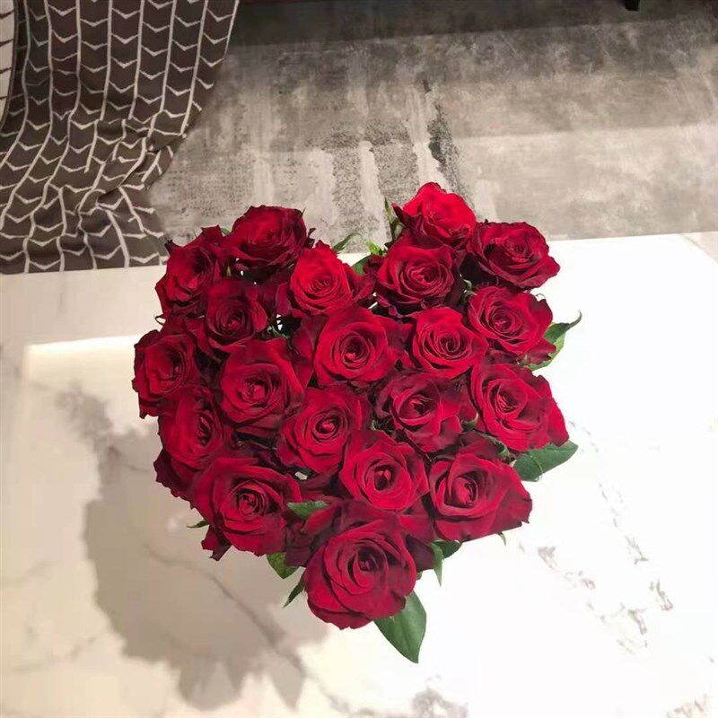 传奇玫瑰红丝绒质感n轻奢高级红玫瑰鲜花花束斗南花市鲜花基地直