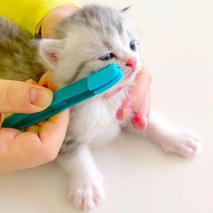 Friendly Eye Handheld Eco Cat Rub 新品 Kitten Wipe