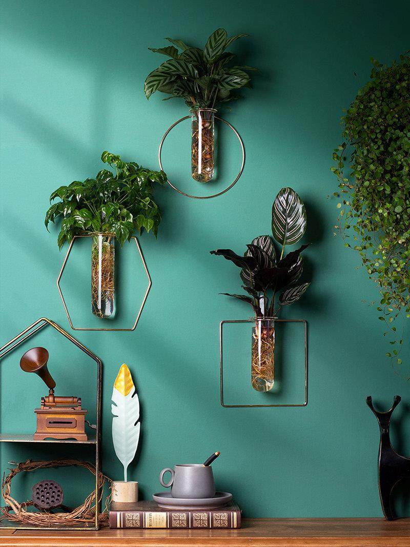 墙壁壁挂挂件墙上墙面装饰绿植2021黄金葛玻璃贴室内盆景盆挂墙挂