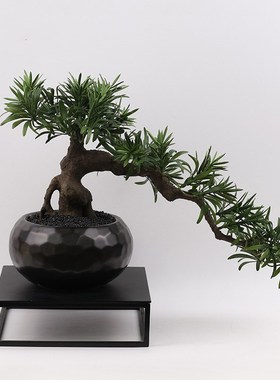 新中式仿真树盆景植物崖柏小盆栽创意室内客厅办公桌桌面软装饰品