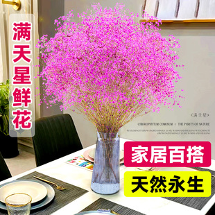 厂家满天星鲜花新鲜真花大束高级感永生插花云南天然干花花束客厅