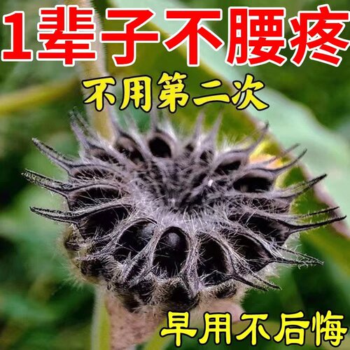 工厂销腰肌劳损i贴膏腰疼腰酸背痛克扭伤腰椎星专腰肌劳损用治膏