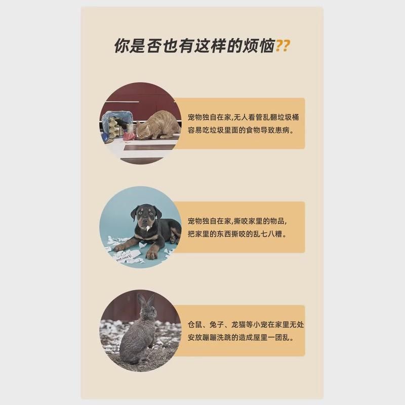 宠物围栏室内室外兔猫狗笼子中小型犬别墅狗窝带厕所一体室一卫厅,宠物/宠物食品及用品,狗笼子,淘宝优惠券,粉丝福利购,淘宝优惠卷