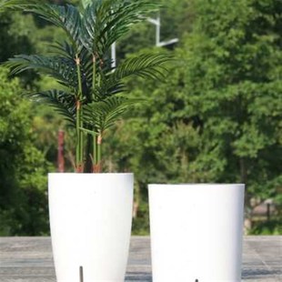 北欧风可储水圆形室外客厅塑料盆自动浇灌吸水懒人塑料花盆绿萝盆